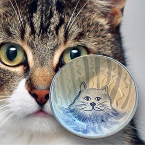 Blue Cat Bowl with stripes/Handcrafted Pottery Bowl